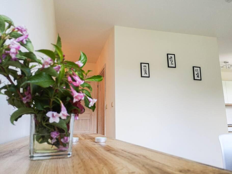 Apartament Hubertus Bochnia Exteriér fotografie